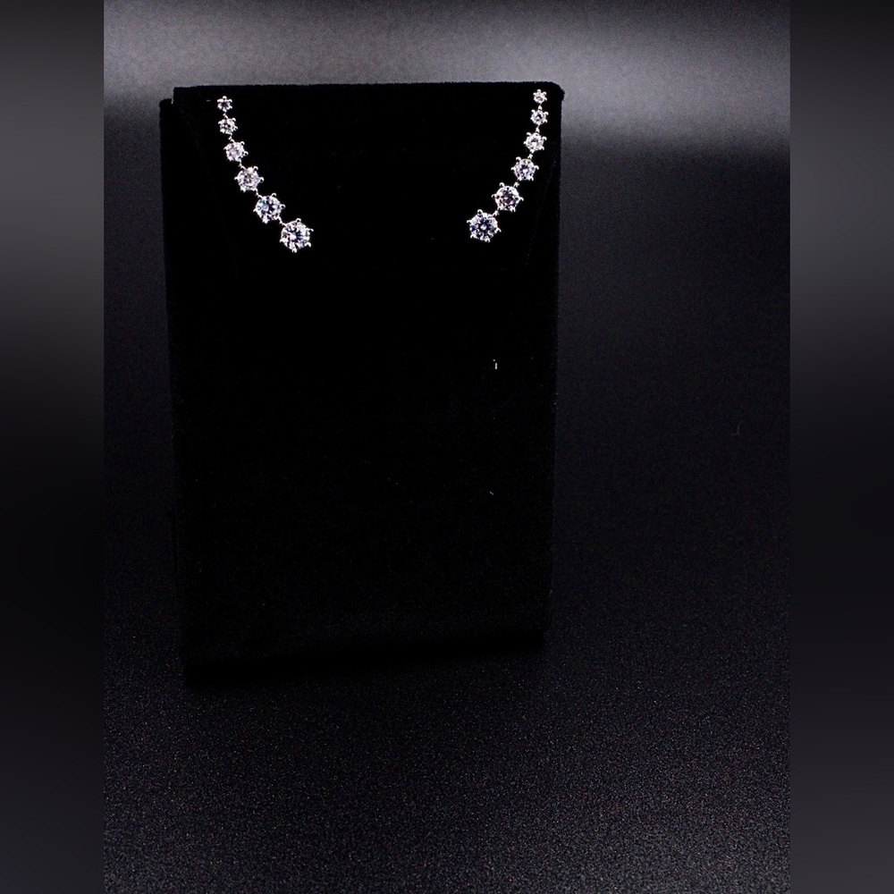 Sterling Silver Earrings